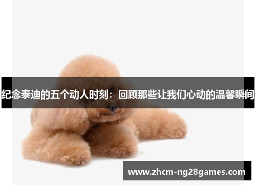 纪念泰迪的五个动人时刻:回顾那些让我们心动的温馨瞬间 纪念泰迪的五个动人时刻:回顾那些让我们心动的温馨瞬间