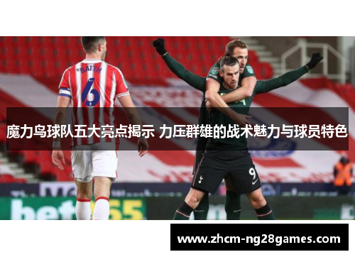 魔力鸟球队五大亮点揭示 力压群雄的战术魅力与球员特色