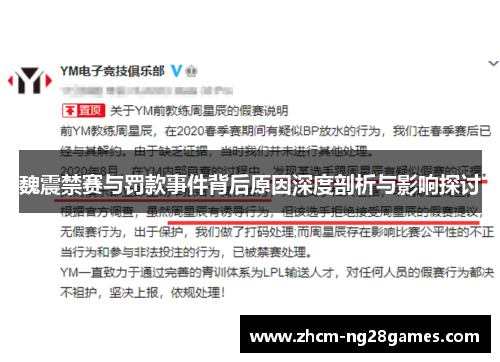 魏震禁赛与罚款事件背后原因深度剖析与影响探讨