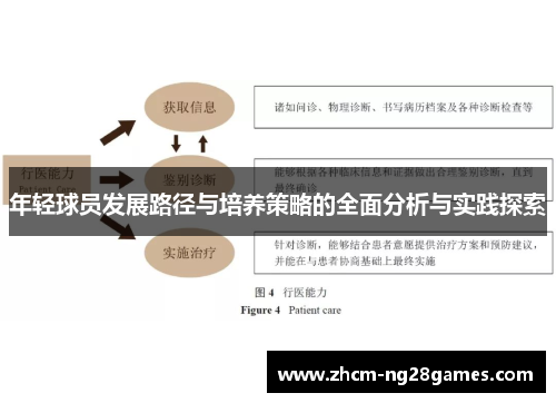 年轻球员发展路径与培养策略的全面分析与实践探索