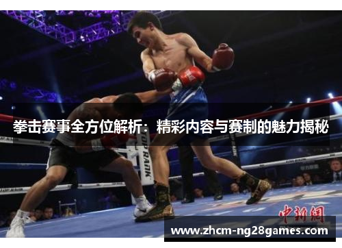 拳击赛事全方位解析：精彩内容与赛制的魅力揭秘